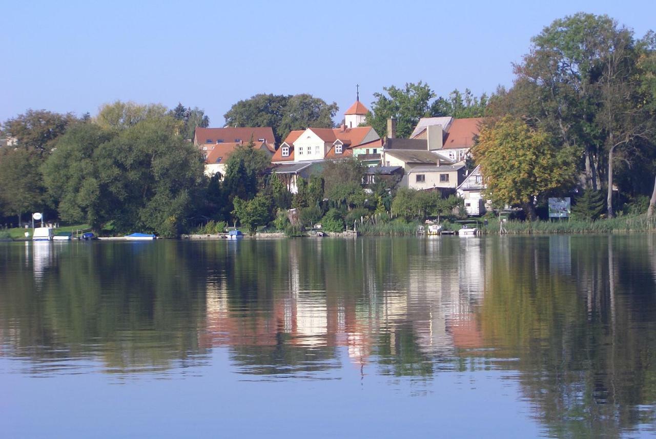 Ferienwohnung Flecken Zechlin エクステリア 写真